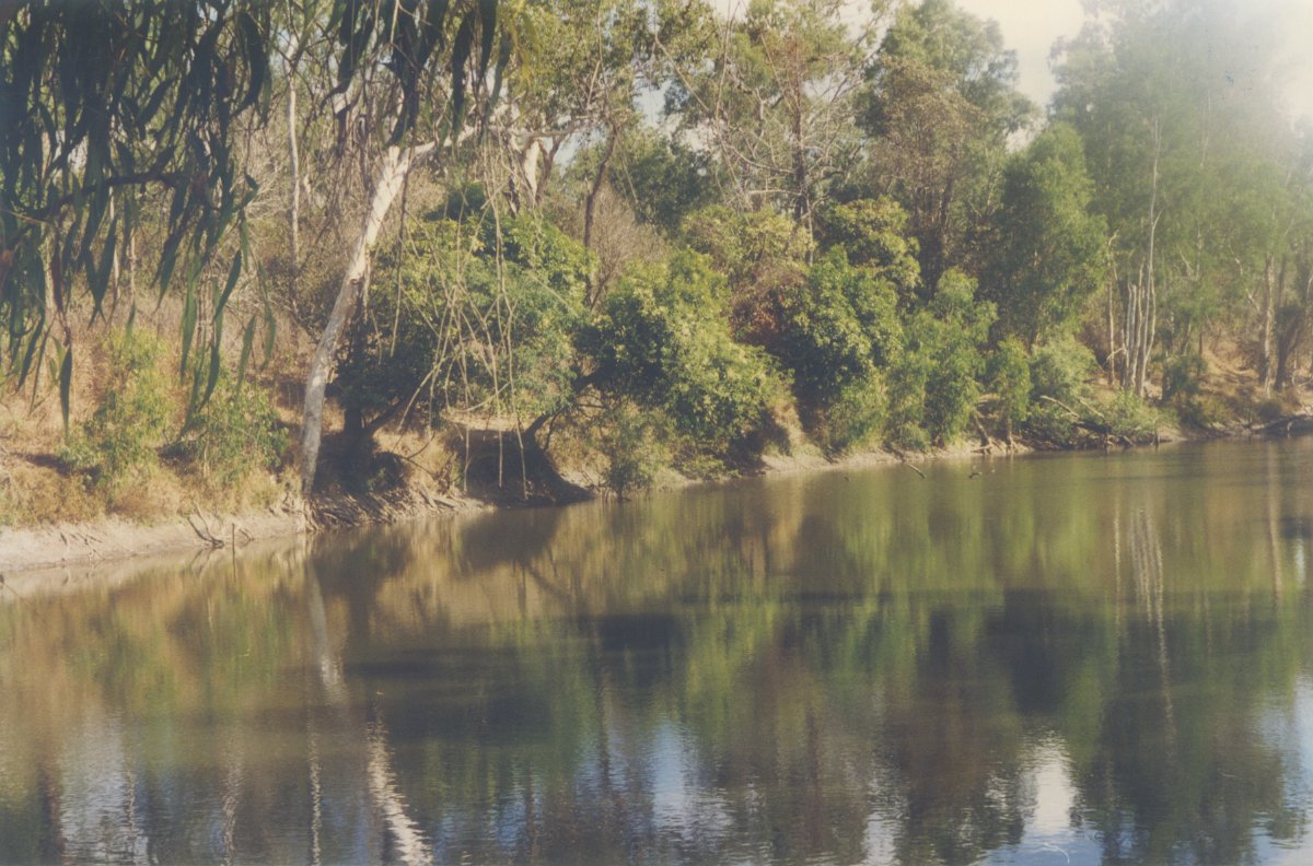 MaryValley-CreekWithSaltwaterCrocs