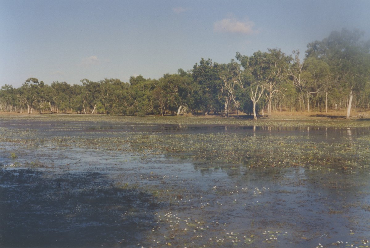 MaryValleyBillabong