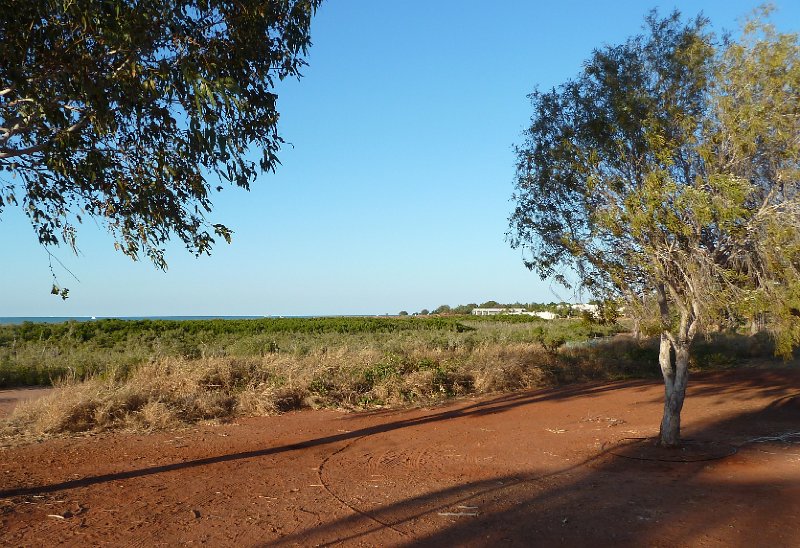 P1040244.JPG - Broome