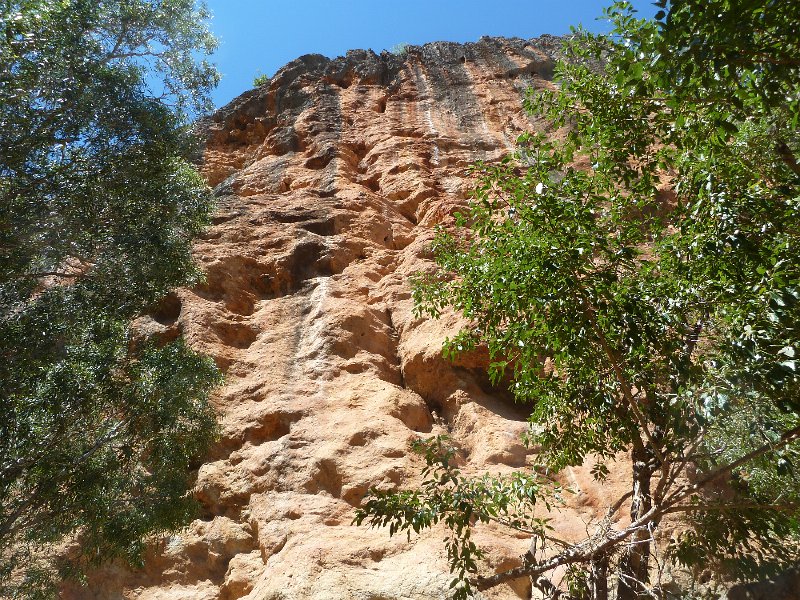 P1060197.JPG - Windjana Gorge