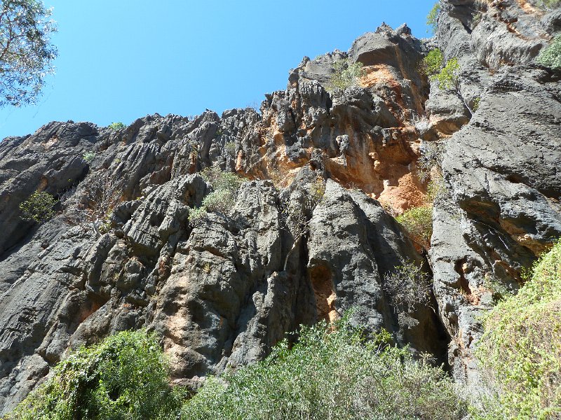 P1060204.JPG - Windjana Gorge