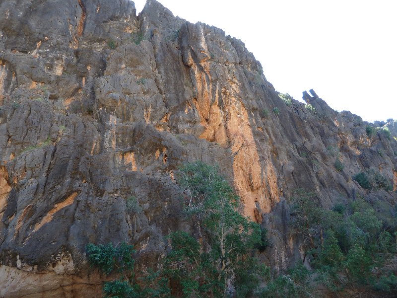 P1060226.JPG - Windjana Gorge