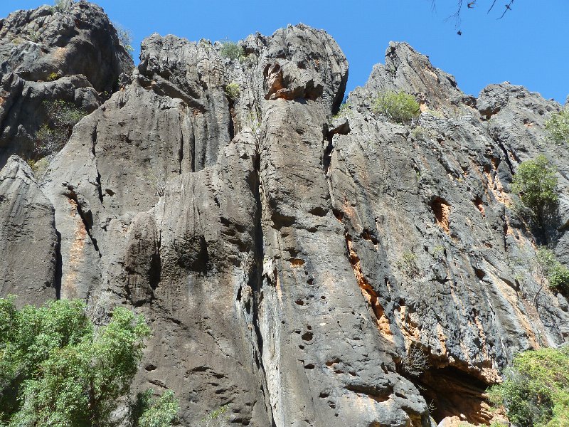 P1060250.JPG - Windjana Gorge