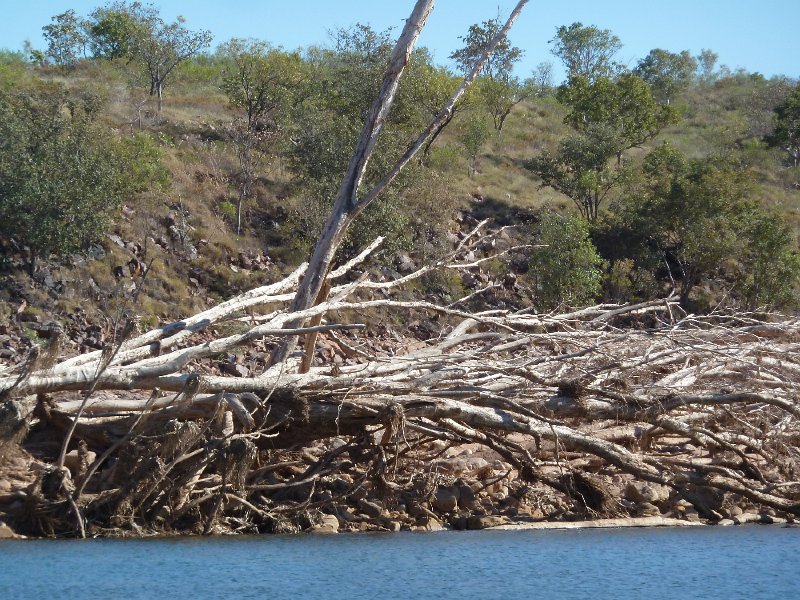 P1050158.JPG - Chamberlain Gorge, flood debris