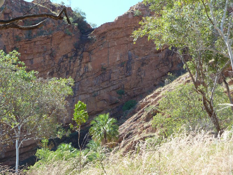 P1050242.JPG - Zebedee Springs