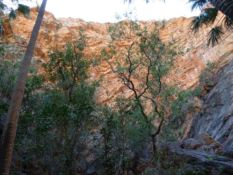 P1050246.JPG - Zebedee Springs