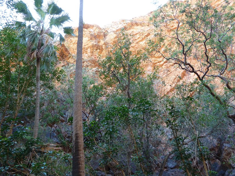 P1050250.JPG - Zebedee Springs