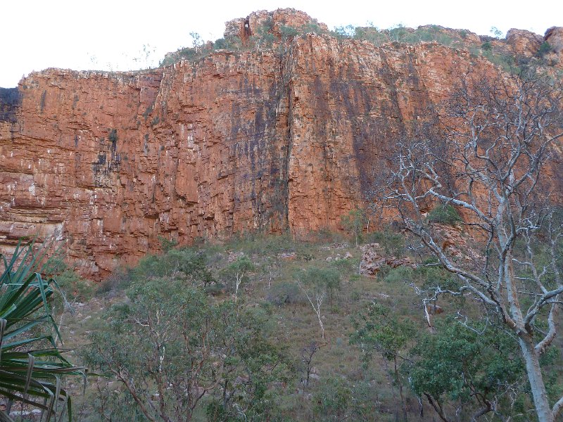 P1050276.JPG - Emma Gorge