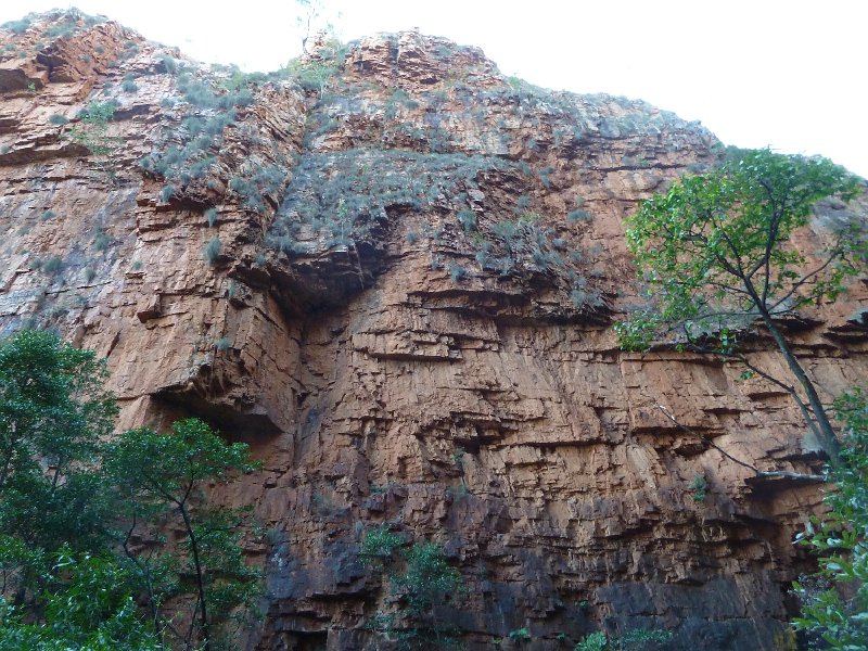 P1050289.JPG - Emma Gorge