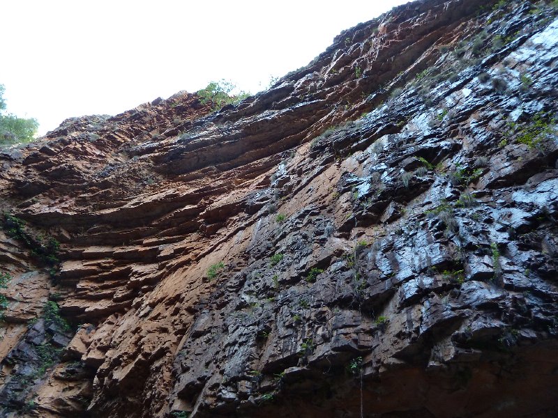 P1050291.JPG - Emma Gorge