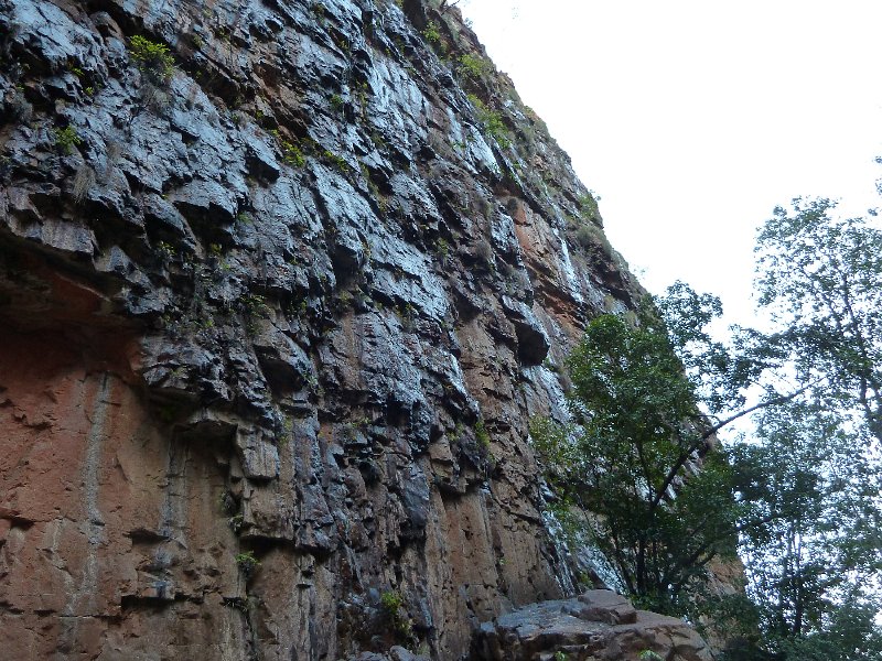 P1050293.JPG - Emma Gorge