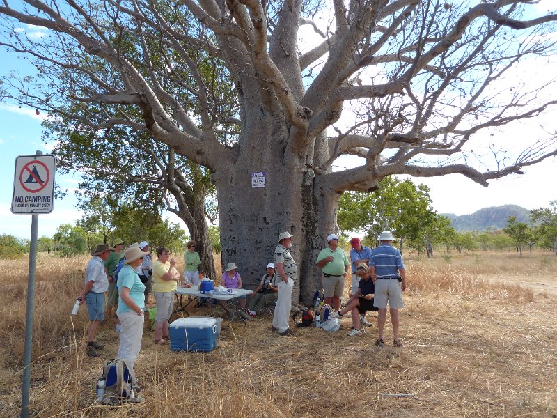 P1050377.JPG - Group camps under a boab tree