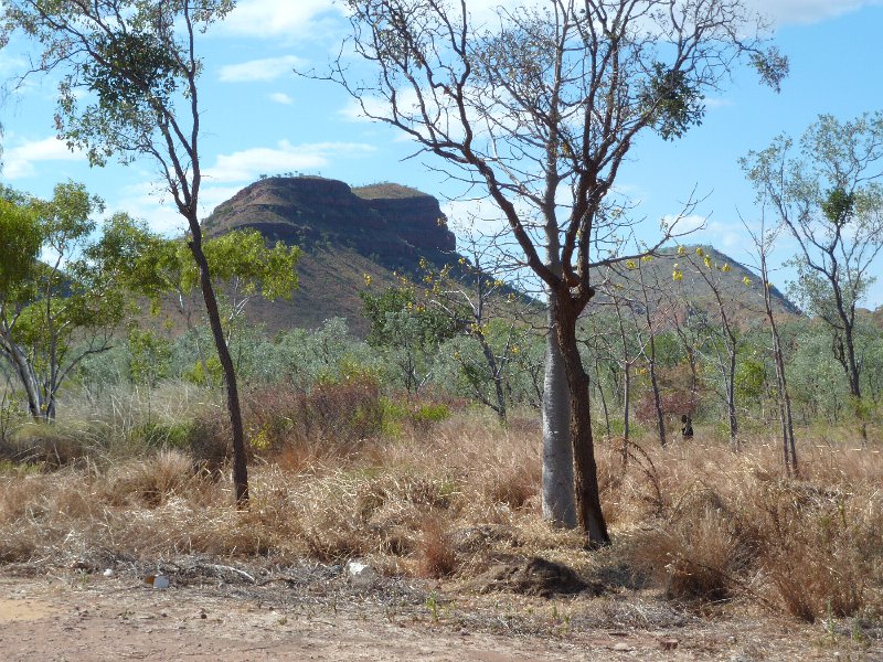 P1050411.JPG - On road to Lake Argyle