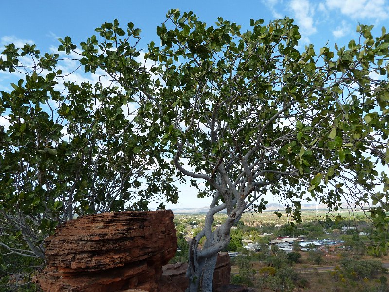 P1050508.JPG - Kununurra from lookout