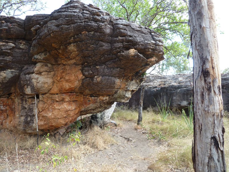 P1040690.JPG - Aboriginal rock art site