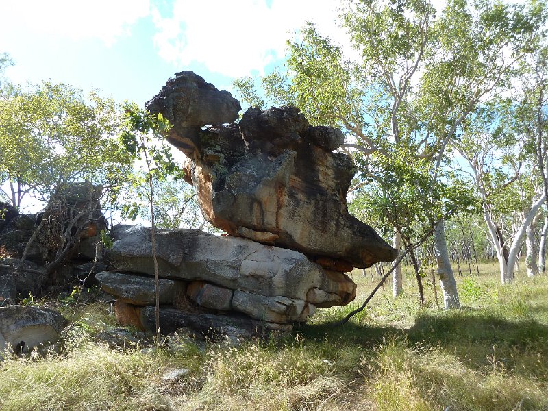 P1040698.JPG - Aboriginal rock art site