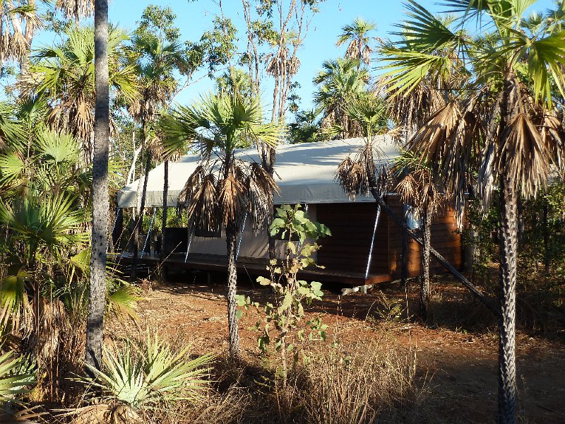 P1040915.JPG - Pandanus Pavilion, Mitchell Plateau