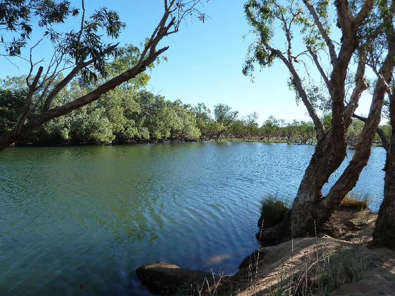 P1040491.JPG - Mornington Wildlife Sanctuary