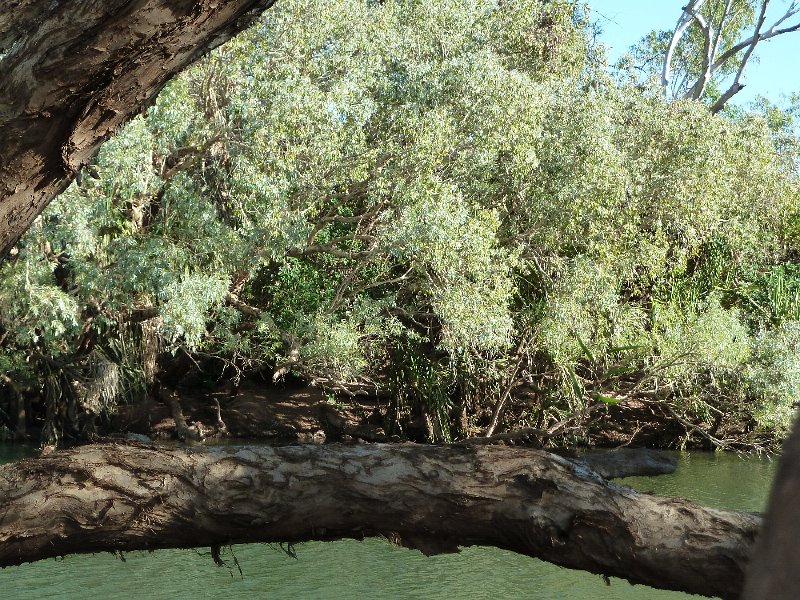 P1040492.JPG - Mornington Wildlife Sanctuary