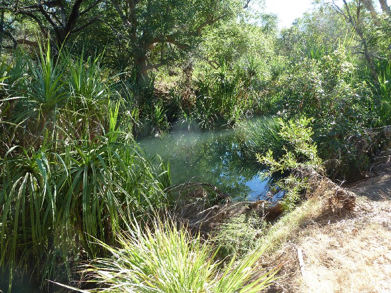 P1040536.JPG - Mornington Wildlife Sanctuary