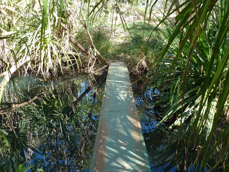 P1040559.JPG - Mornington Wildlife Sanctuary