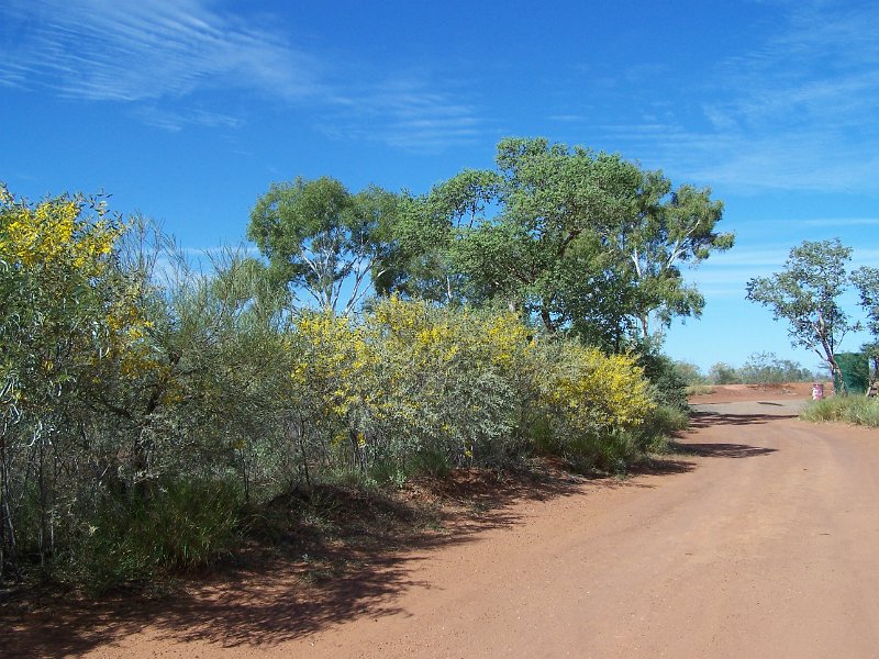 100_0985.JPG - Rest area on Barkly Highway