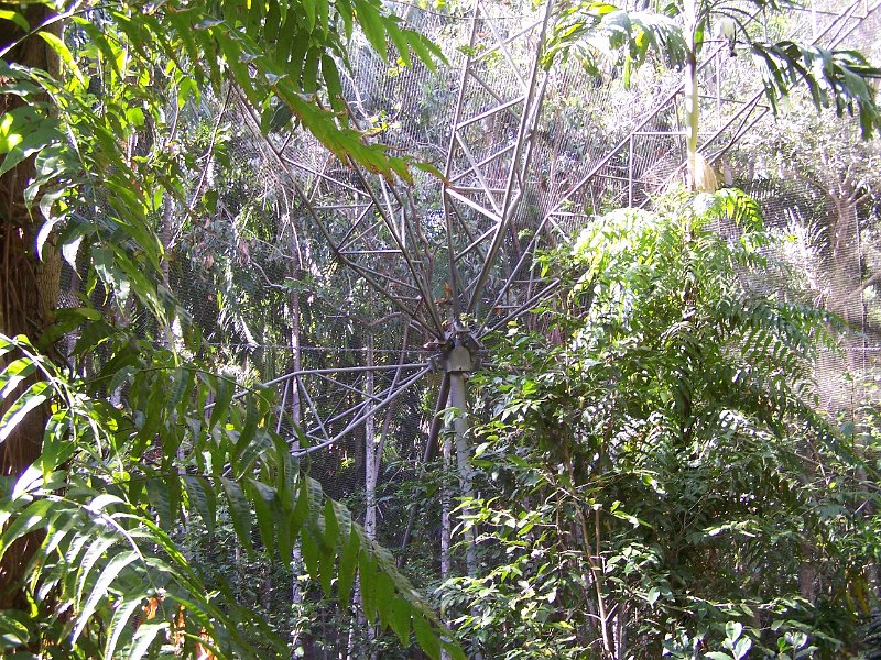 100_1555.JPG - Territory Wildlife Park: walk-in aviary