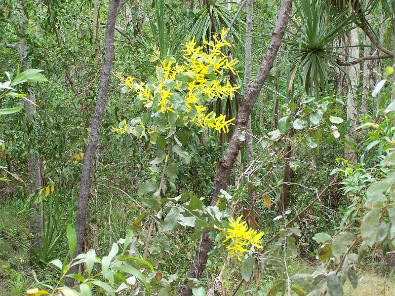 100_1657.JPG - Litchfield National Park