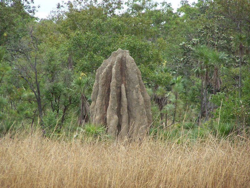 100_1715.JPG - Litchfield National Park