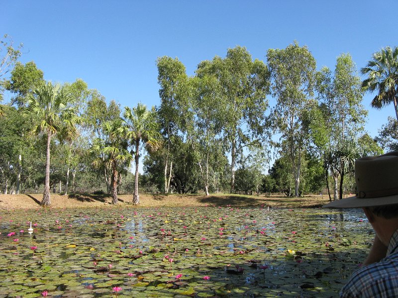 IMG_1652.JPG - Barramundi Pond, Territory Manor Caravan Park