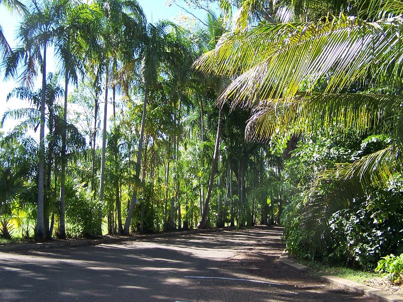 100_1989.JPG - Kununurra