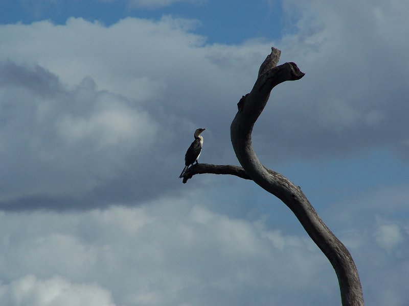 100_2031.JPG - Kununurra