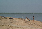 Fishing at Karumba Point