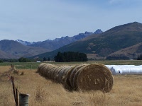Hay rolls near Garston