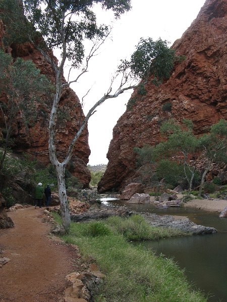 img_02038.jpg - Simpsons Gap