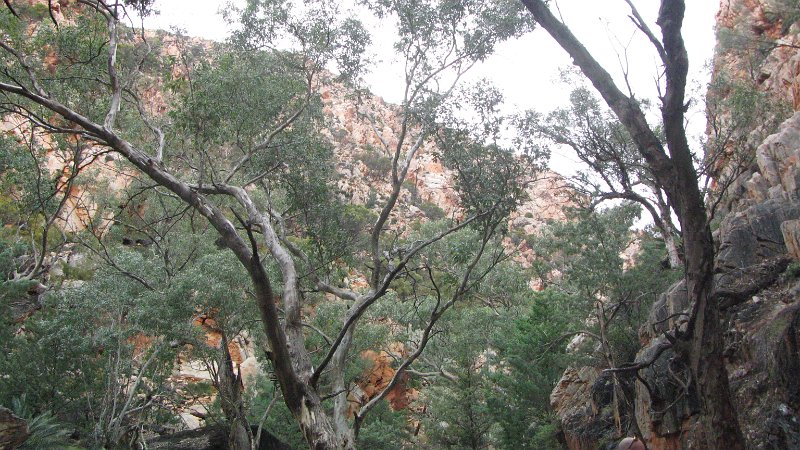 img_2165.jpg - West MacDonnell Ranges