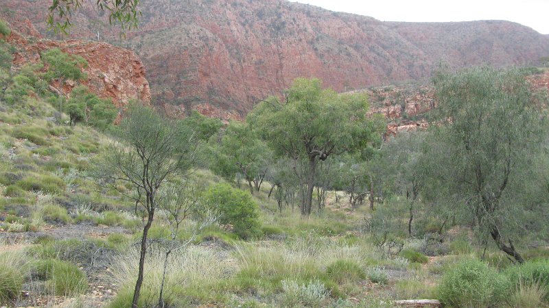 img_2188.jpg - Ormiston Gorge