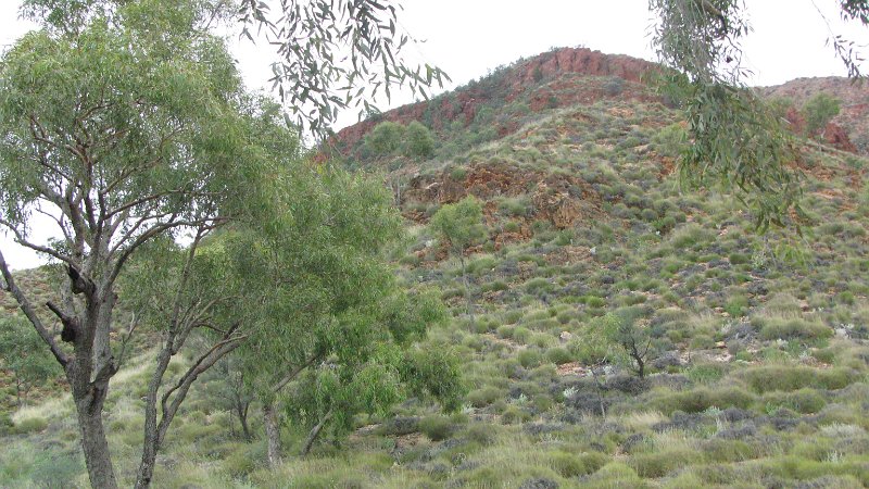 img_2190.jpg - Ormiston Gorge