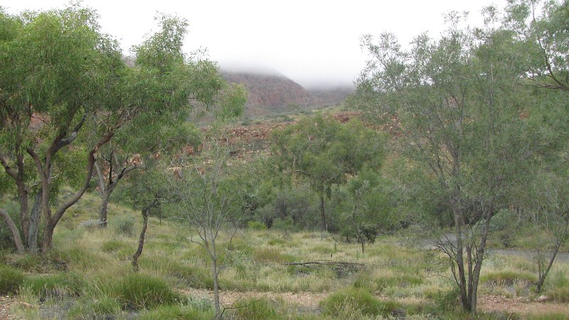 img_2192.jpg - Ormiston Gorge