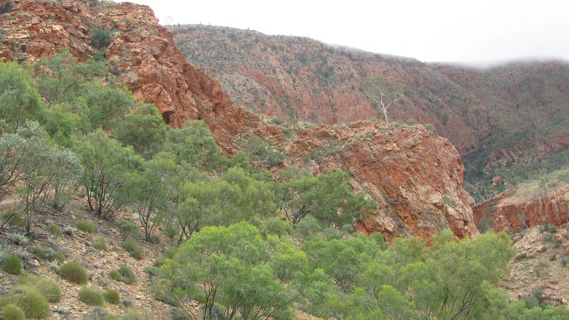 img_2199.jpg - Ormiston Gorge