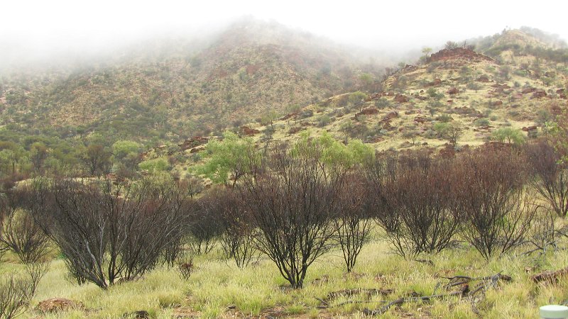 img_2291.jpg - Alice Springs Desert Park