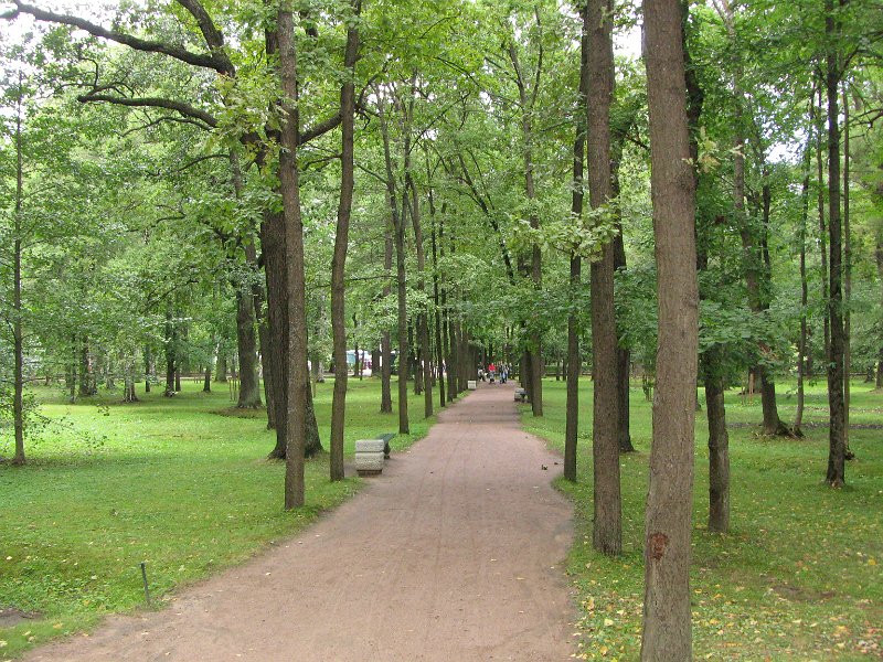 img_5082.jpg - Peterhof castle