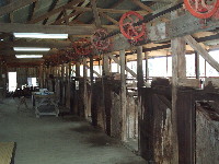 Shearers' stations at historic woolscour, Blackall