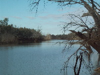 Warrego River at Cunnamulla