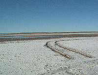 Tyre tracks in mud by edge of Lake Eyre South
