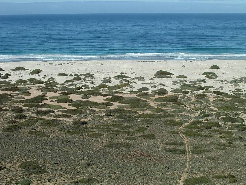 imgp4891.jpg - Great Australian Bight