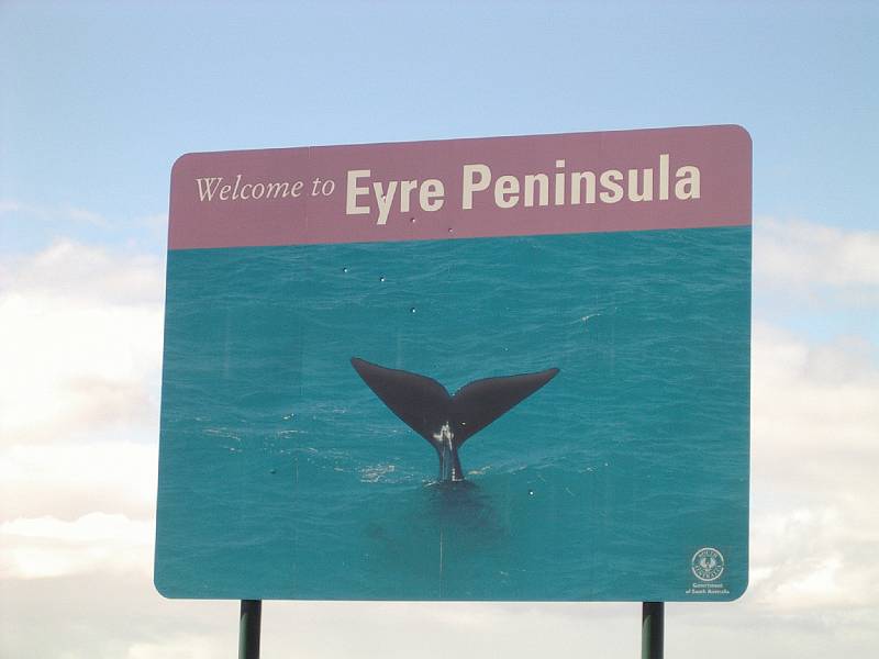 imgp4940.jpg - Eyre Peninsula sign