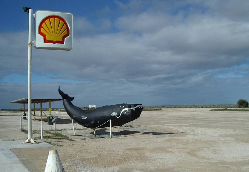 imgp4942.jpg - Nullarbor Roadhouse