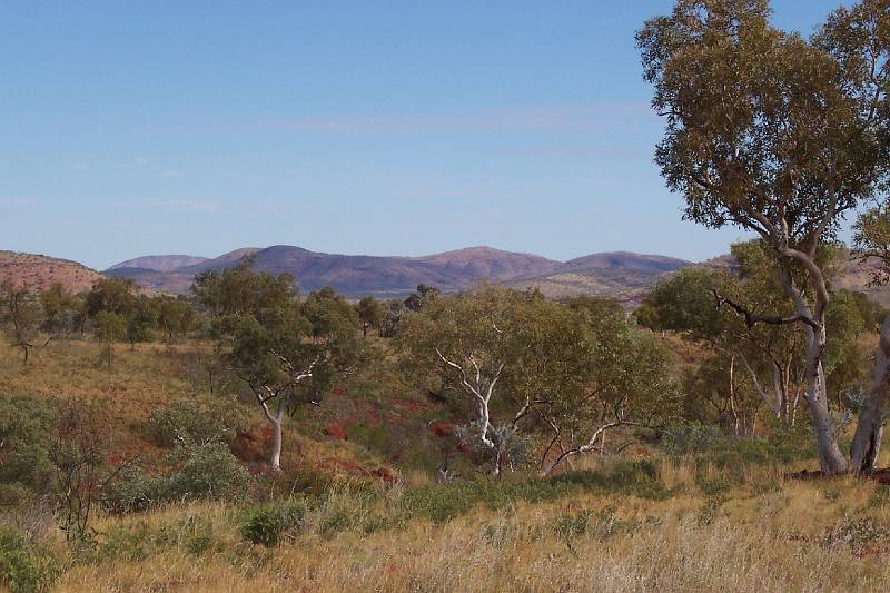 100_1069.jpg - Karijini National Park