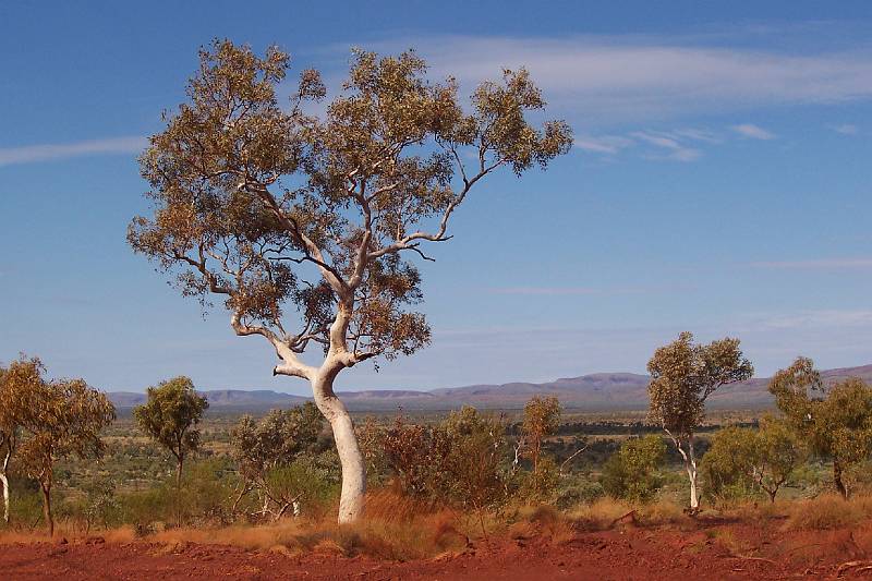 100_1080.jpg - Karijini NP -- on to next lookout